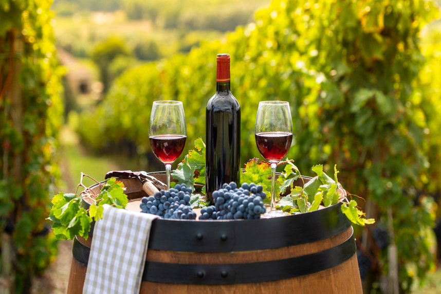 Bordeaux red wines: history, characteristics and perfect pairings